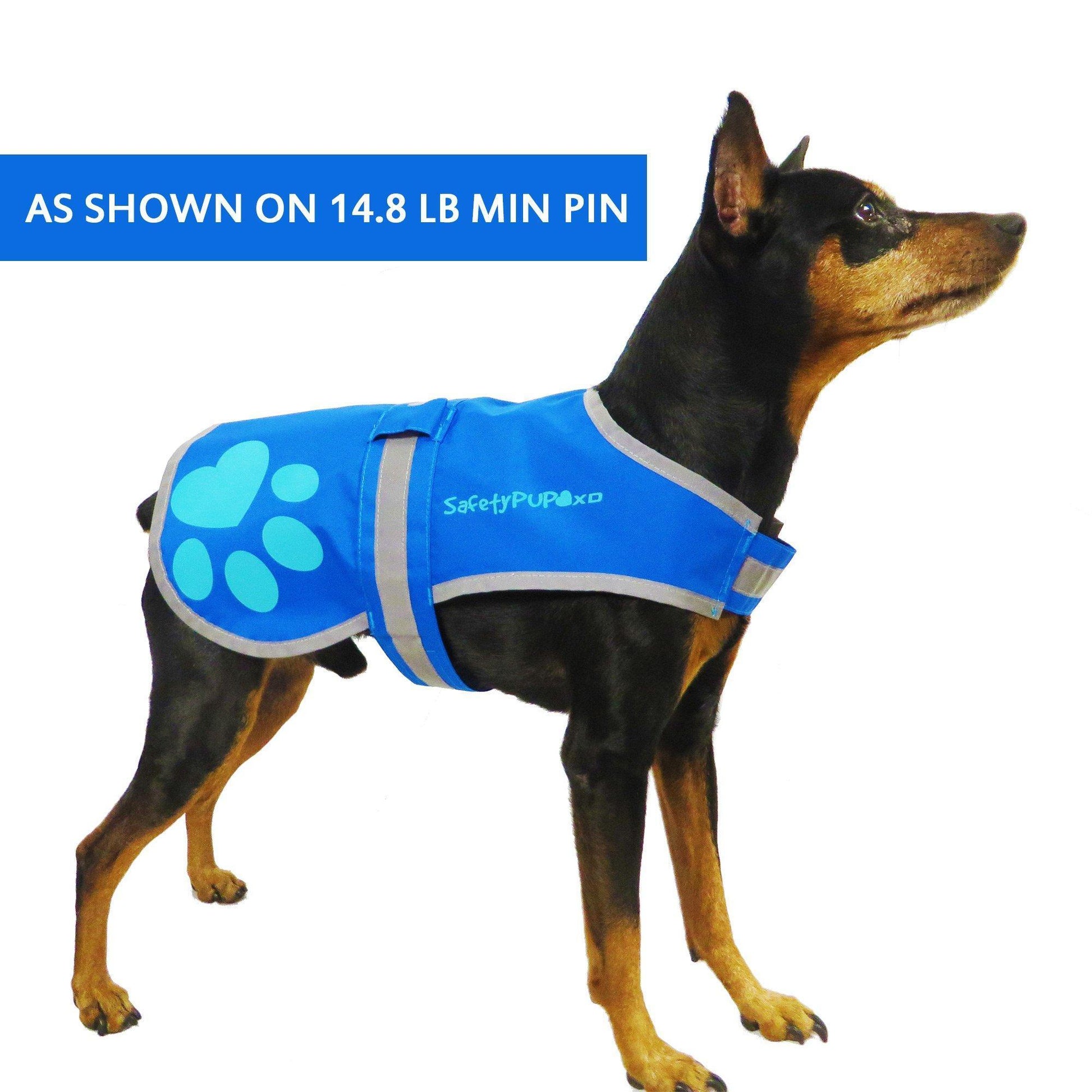 SafetyPUP XD Urban Dog Reflective Vest - XSMALL - Blue - Fits Dogs 14lbs - 22 lbs For Pet With Love