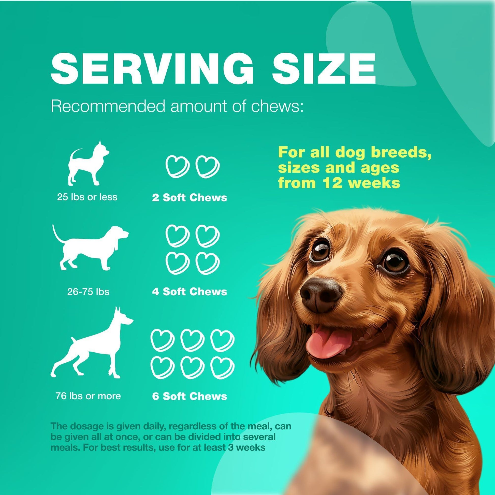 CHEWIA Probiotics and Digestive Enzymes Coprophagia Deterrent for Dogs 5 Oz For Pet With Love