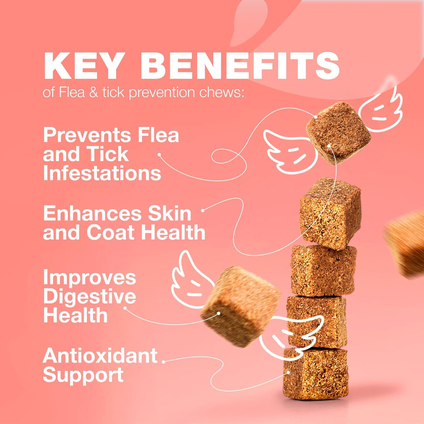 CHEWIA Daily Oral Cat Flea and Tick Treatment Chews for Cats. Natural Chicken Flavor  For All Breeds & Ages. 140 Chews