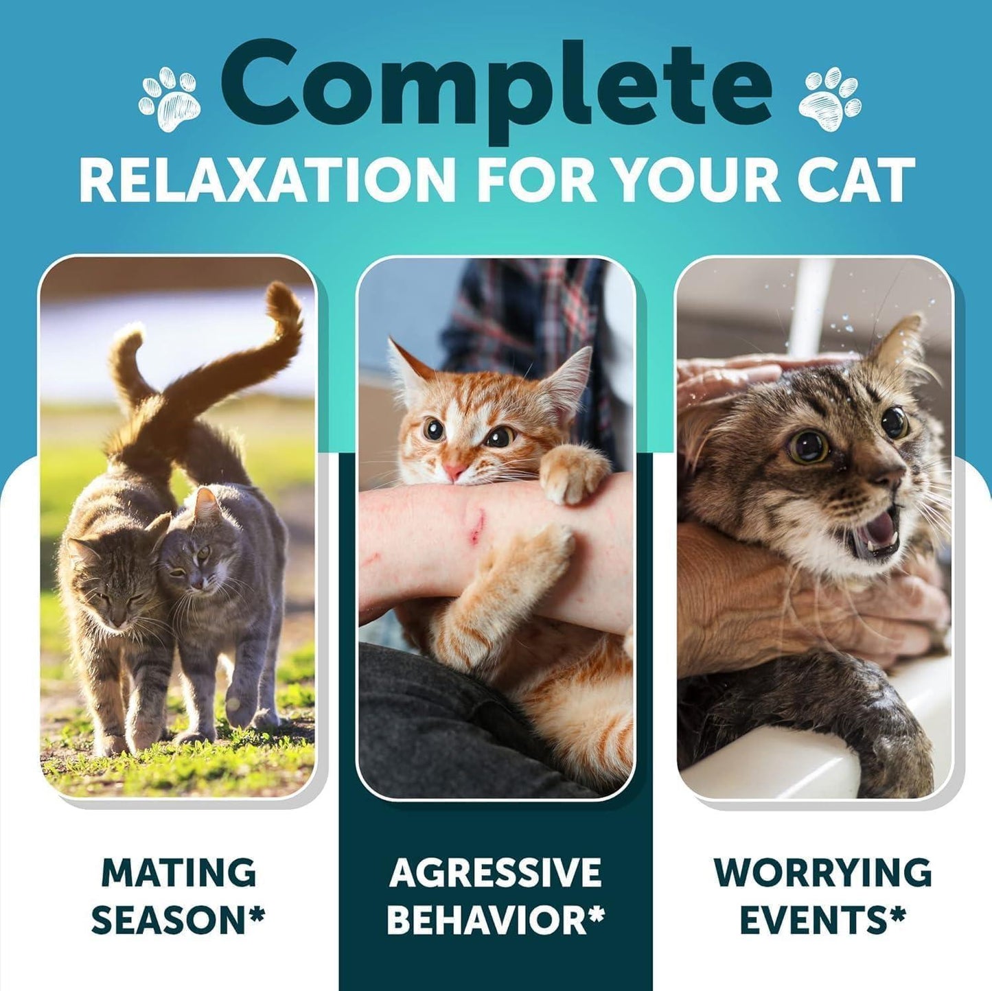 Artullano Hemp Cat Calming Treats for Stress & Anxiety Relief 135 Chews For Pet With Love