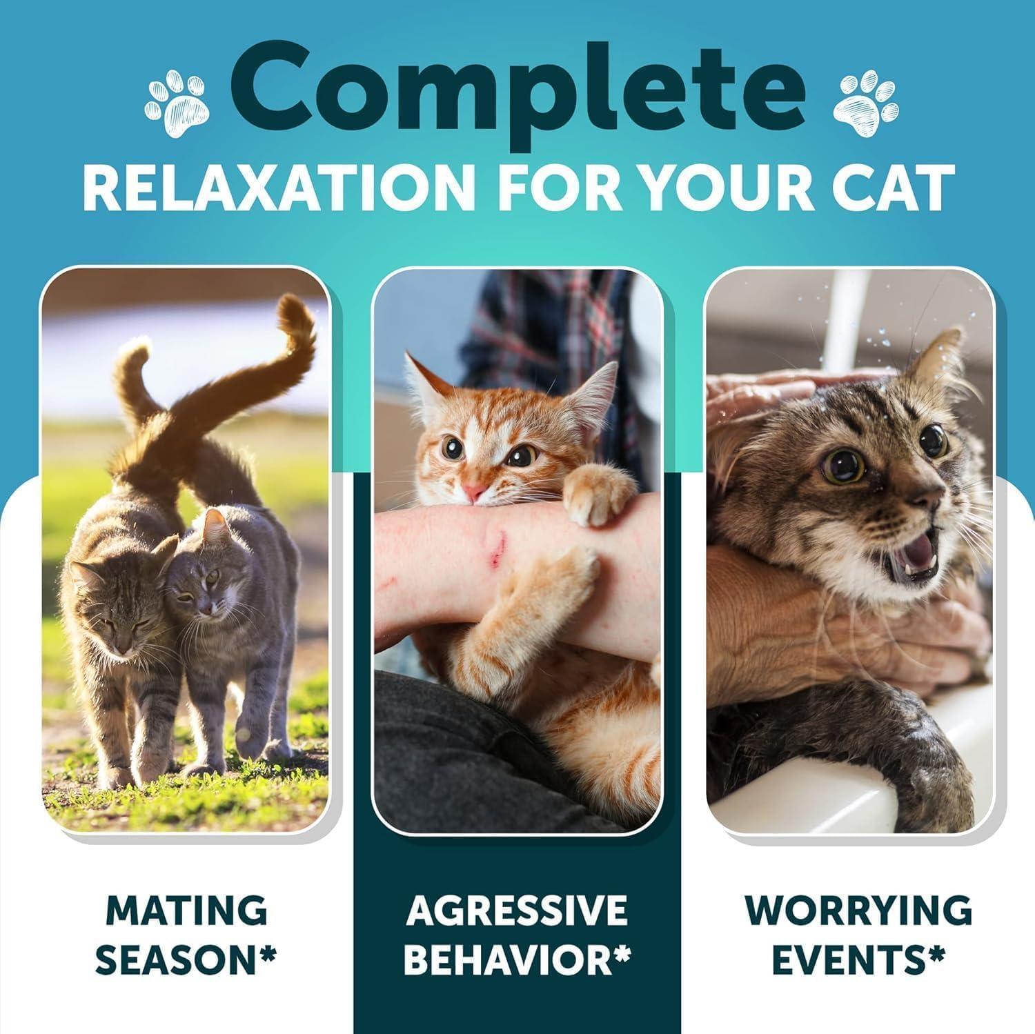 Artullano Hemp Cat Calming Treats for Stress & Anxiety Relief 135 Chews For Pet With Love