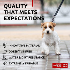 WAUDOG Waterproof Dog Leash 4 Ft   6 Ft   Anti Slip Dog Leash for Large Dogs