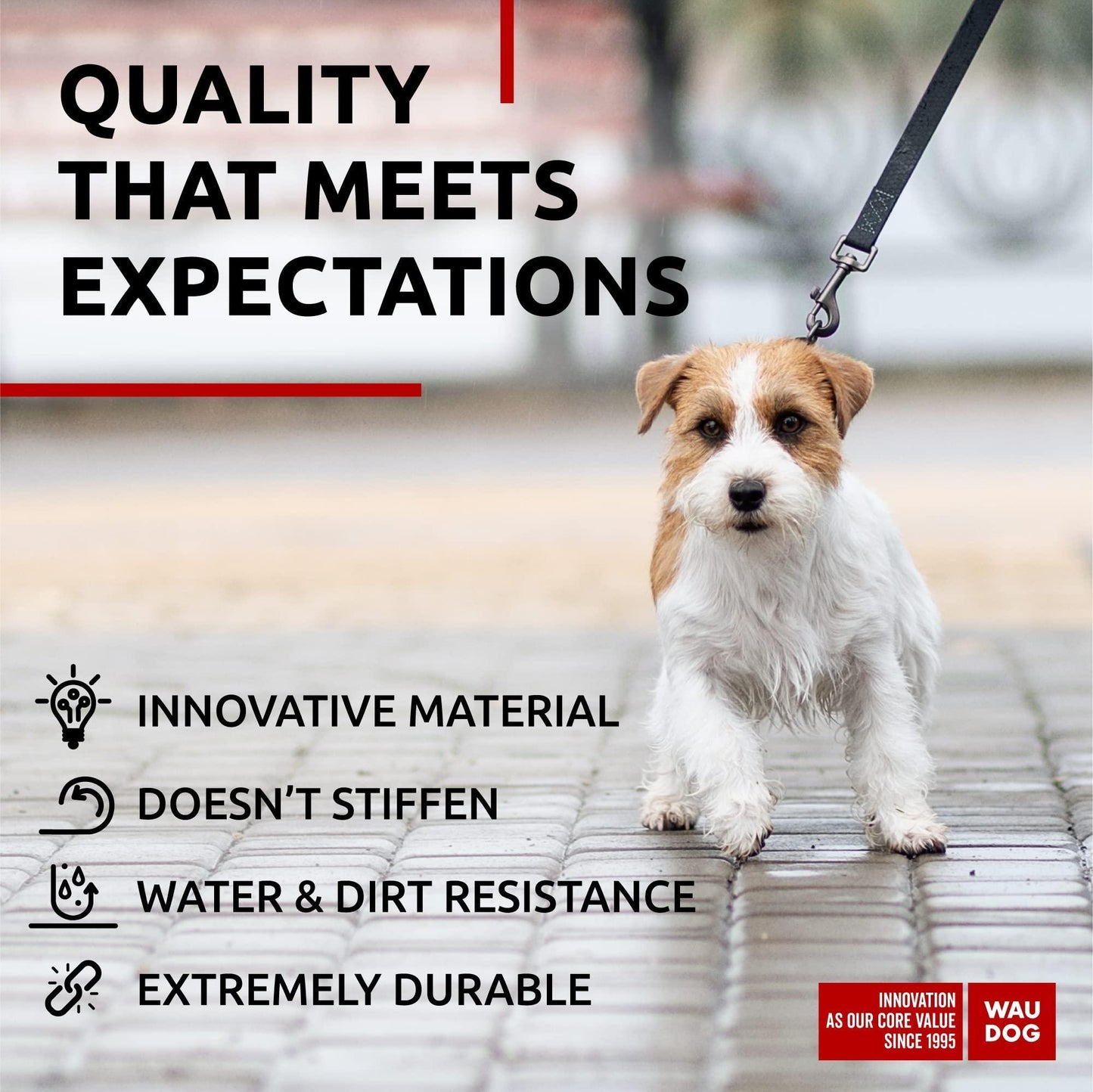 Waterproof Dog Leash 4 Ft   6 Ft   Anti Slip Dog Leash for Large Dogs Small and For Pet With Love
