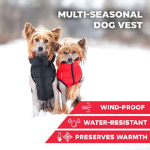 Load image into Gallery viewer, AiryVest Lightweight Reversible Winter Dog Jacket - XSMALL - Black/Red
