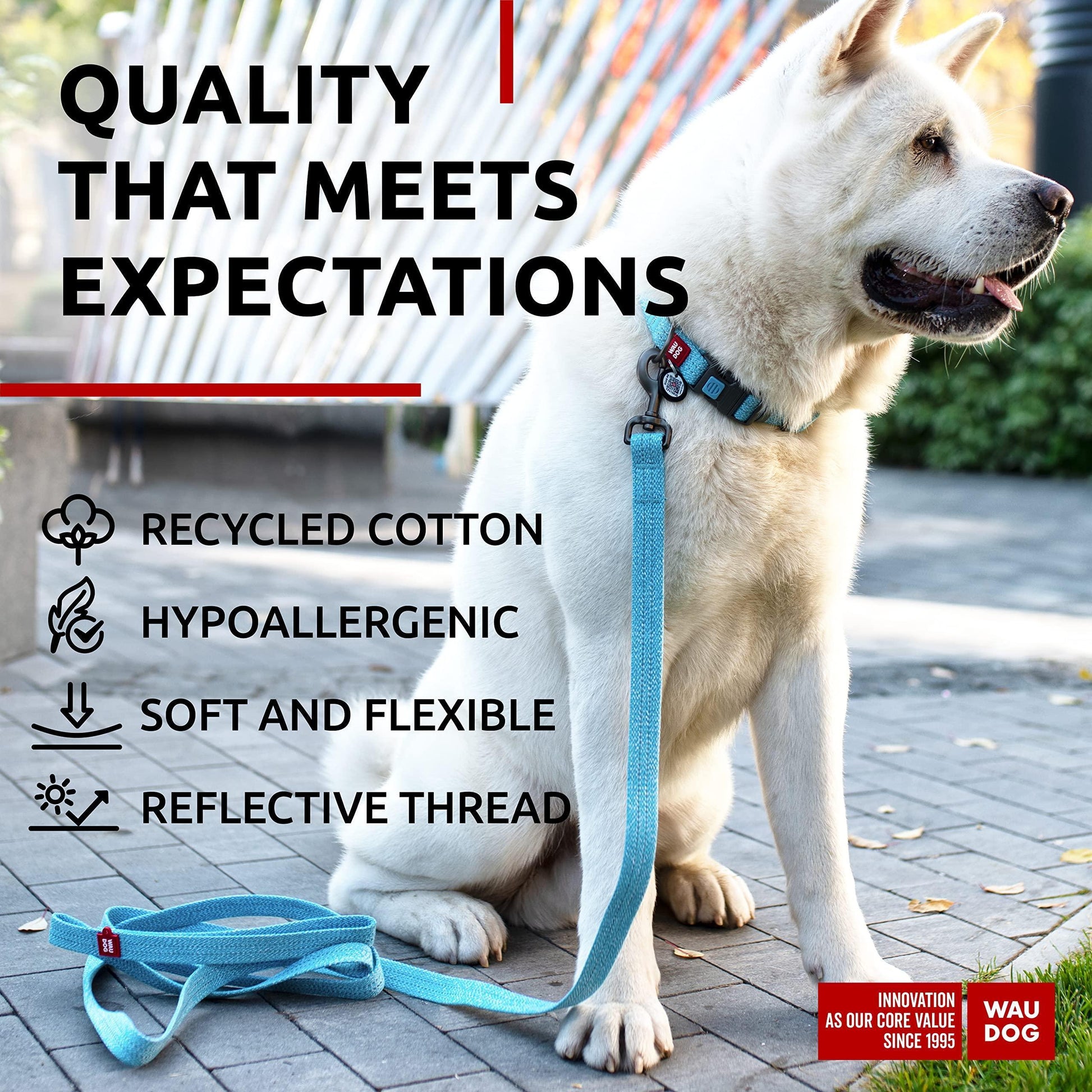 Recycled Cotton Dog Leash 6 Ft   10 Ft Eco Friendly Collar for Small Medium & For Pet With Love