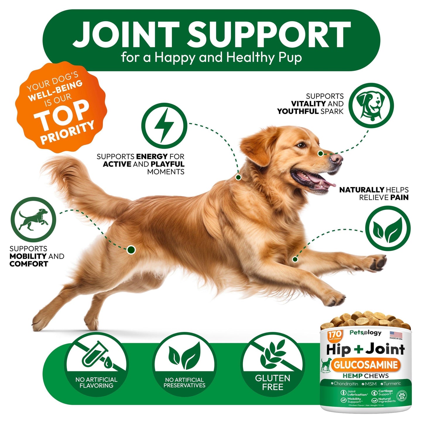 PETSOLOGY Hemp Hip and Joint Mobility Support Supplement for Dogs 170 Chews For Pet With Love