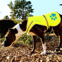 Load image into Gallery viewer, SafetyPUP XD Hi-Vis Dog Safety Reflective Vest - Neon Yellow - MEDIUM - Fits Dogs 35lbs - 60lbs
