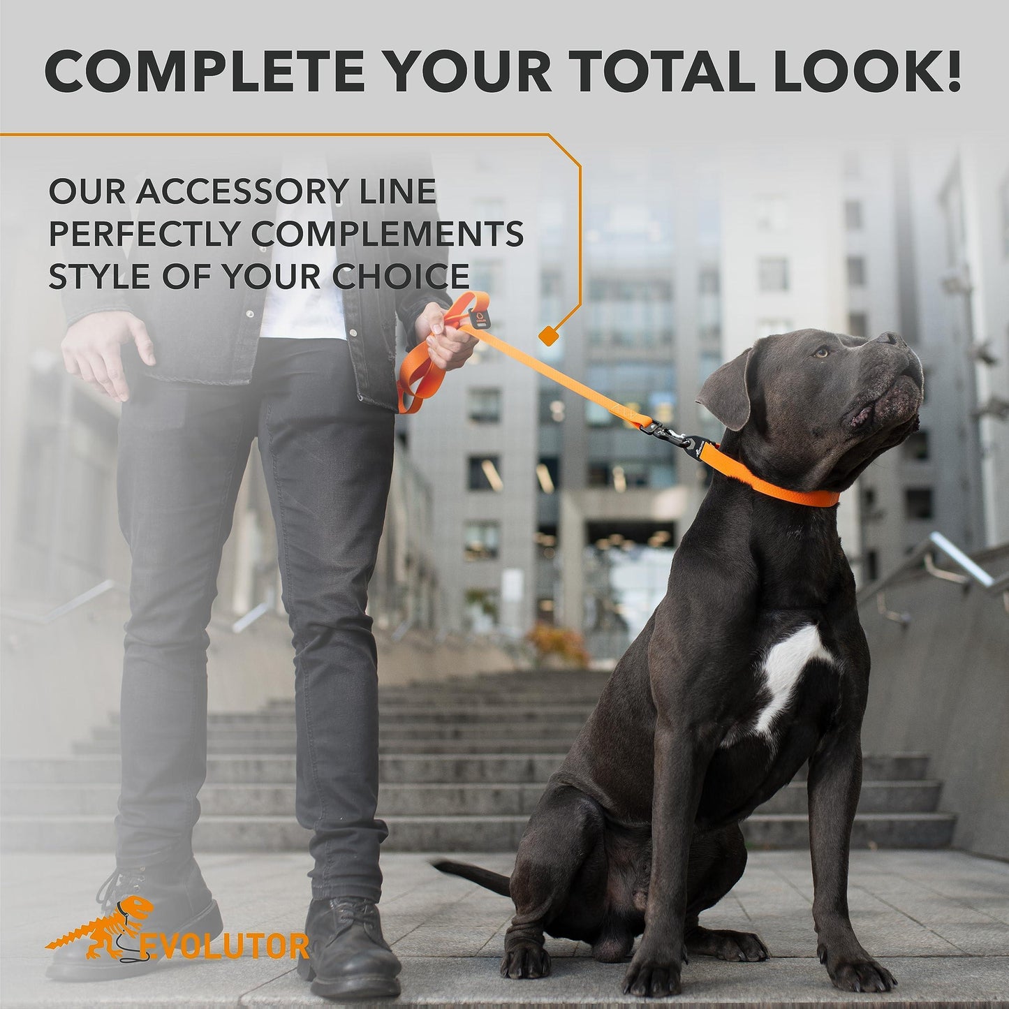 COLLAR Extra Heavy Duty Durable EVOLUTOR Dog Leash 4 Ft (Orange) For Pet With Love