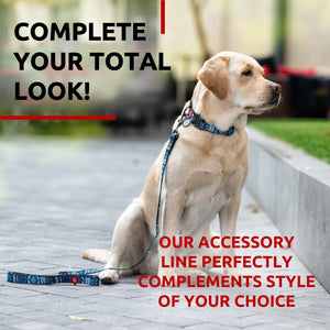 Nylon Dog Leash for Small Dogs and Medium Dogs 4 Ft   Strong Dog Leash for