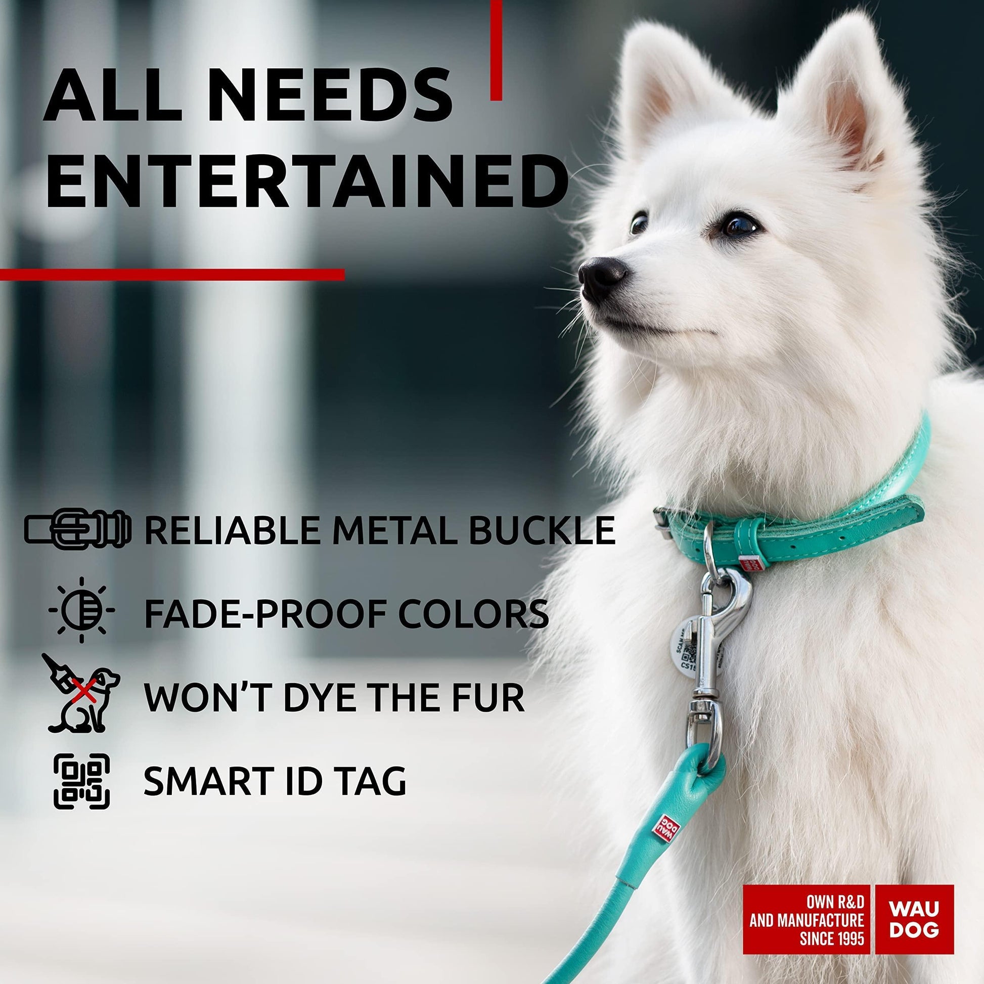 WAUDOG Ultra Soft Rolled Leather Soft Padded Dog Collar. MINT. X-Small For Pet With Love