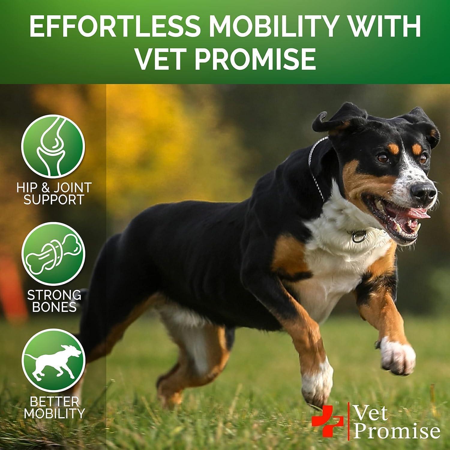 Vet Promise Glucosamine for Dogs  Hip and Joint Chews (2Pack, 240 Chews) For Pet With Love