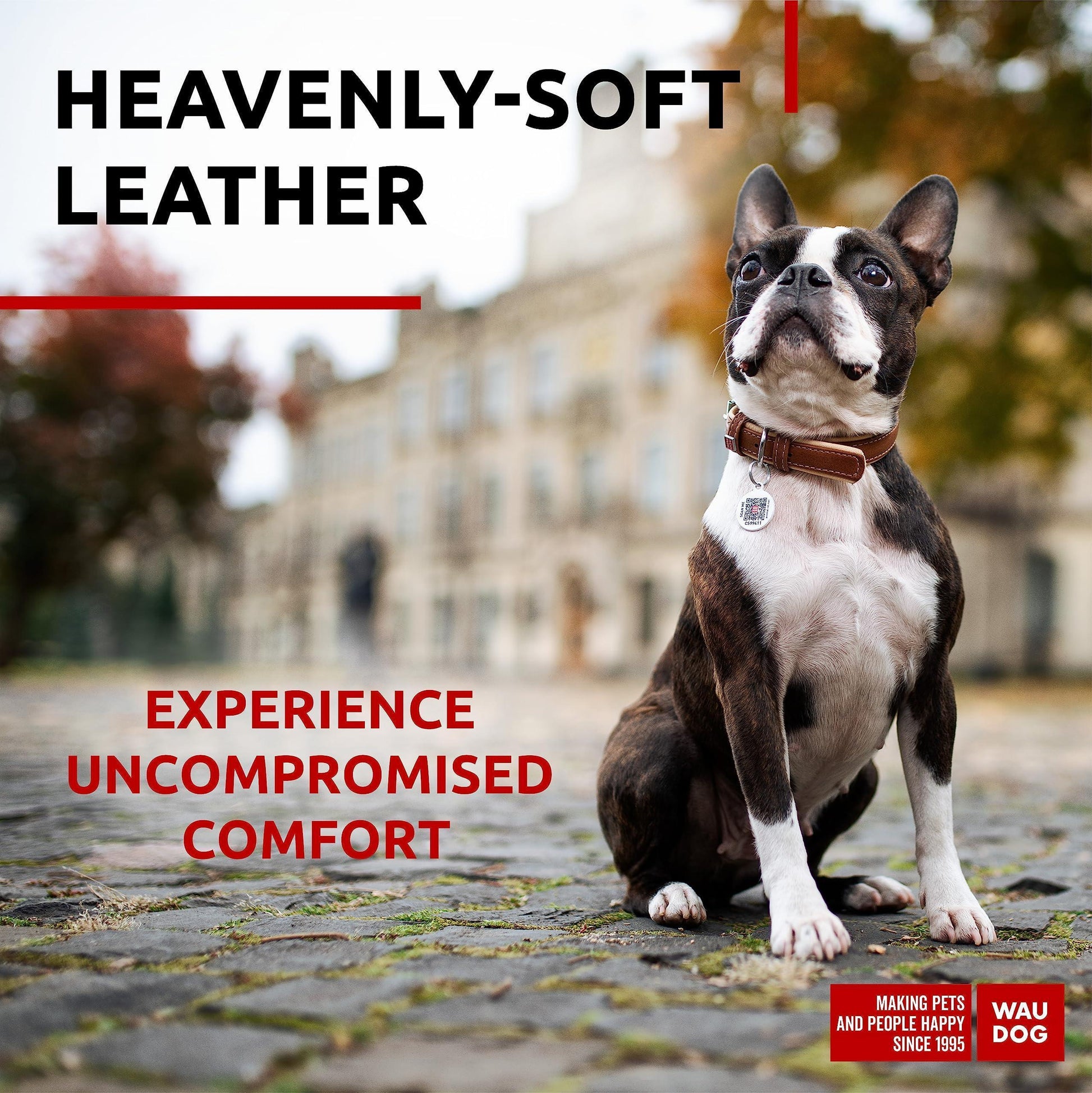 WAUDOG Leather Dog Collar with Durable Buckle and QR Dog Tag BROWN SMALL For Pet With Love