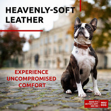 Load image into Gallery viewer, WAUDOG Leather Dog Collar with Durable Buckle and QR Dog Tag BROWN SMALL
