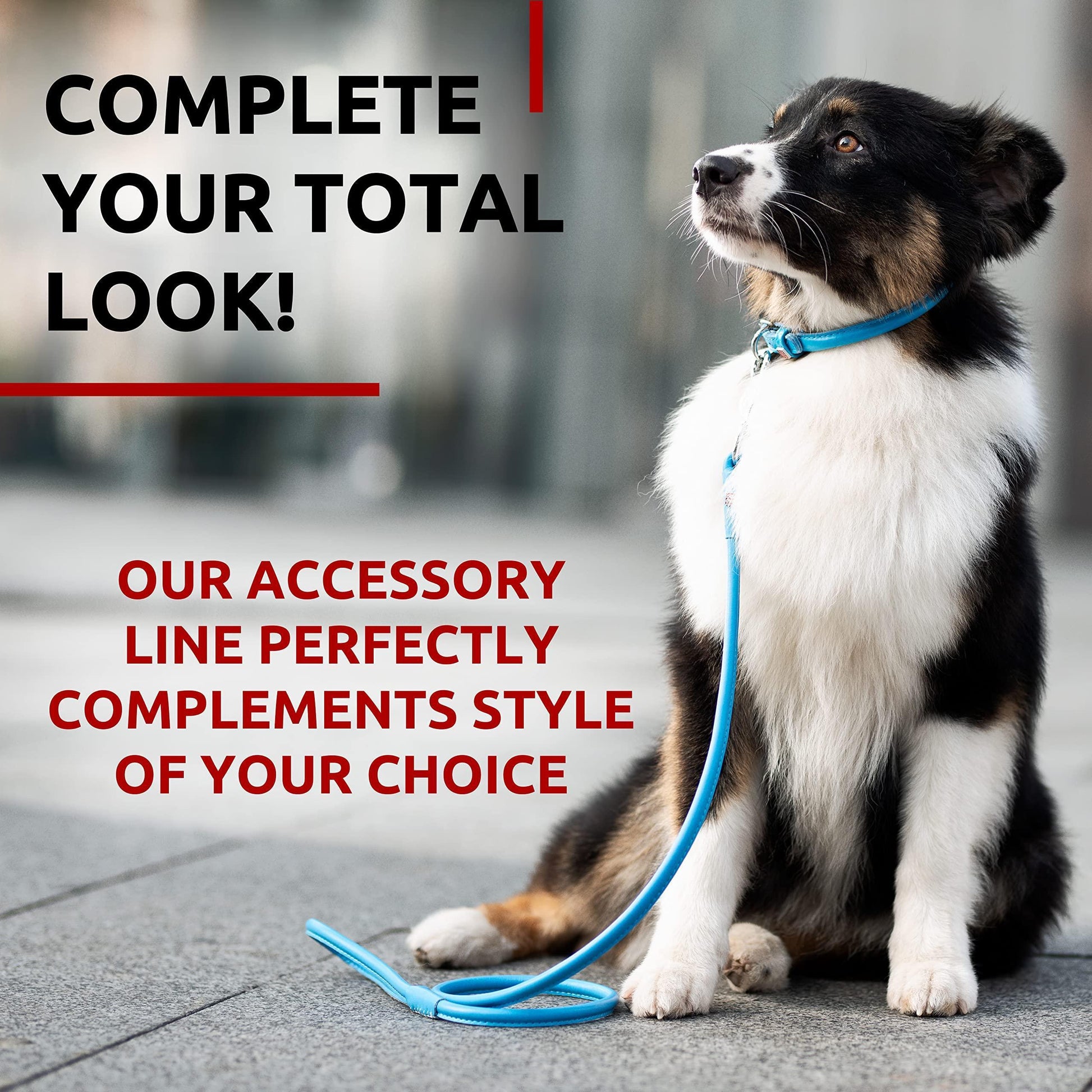 Rolled Leather Dog Leash 4Ft * 0.5 in for Small Medium and Large Dogs   Heavy For Pet With Love