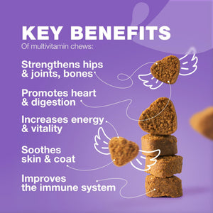 CHEWIA 15in1 Dog Multivitamin Immune Support, Skin & Coat, Mobility Support 180 Ct