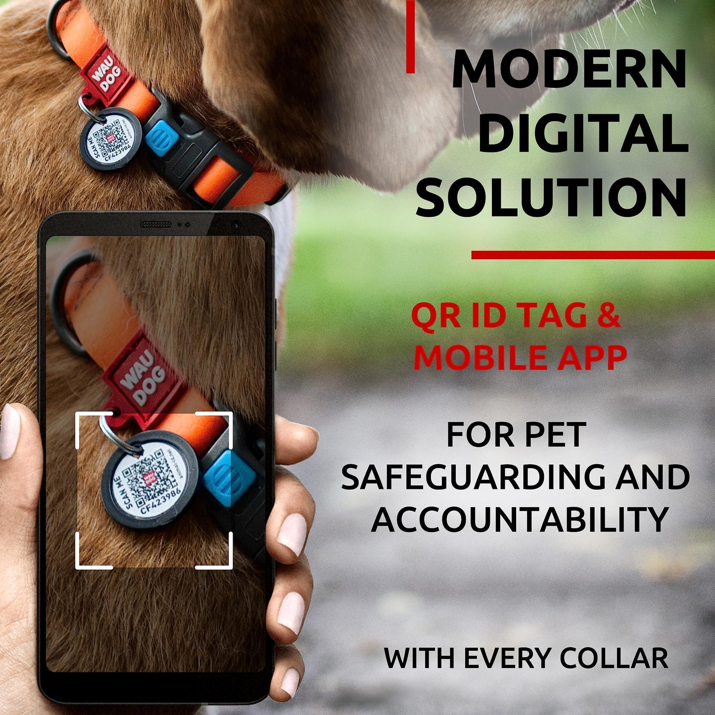 WAUDOG Adjustable Waterproof Heavy Duty Dog Collar with Durable Plastic Buckle and QR Dog Tag. SMALL (Orange) For Pet With Love
