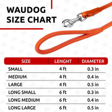 Load image into Gallery viewer, WAUDOG Rolled Leather GLAMOUR Dog Leash 4Ft * 0.5in for Small Medium and Large Dogs (Orange)
