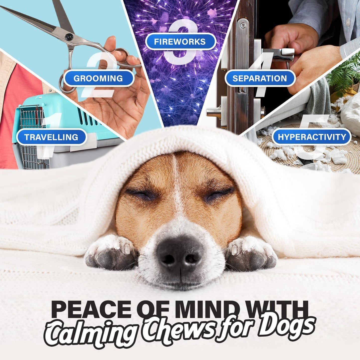 Charlie and Buddy Anxiety Relief Calming Chews for Dogs 90 Chews For Pet With Love