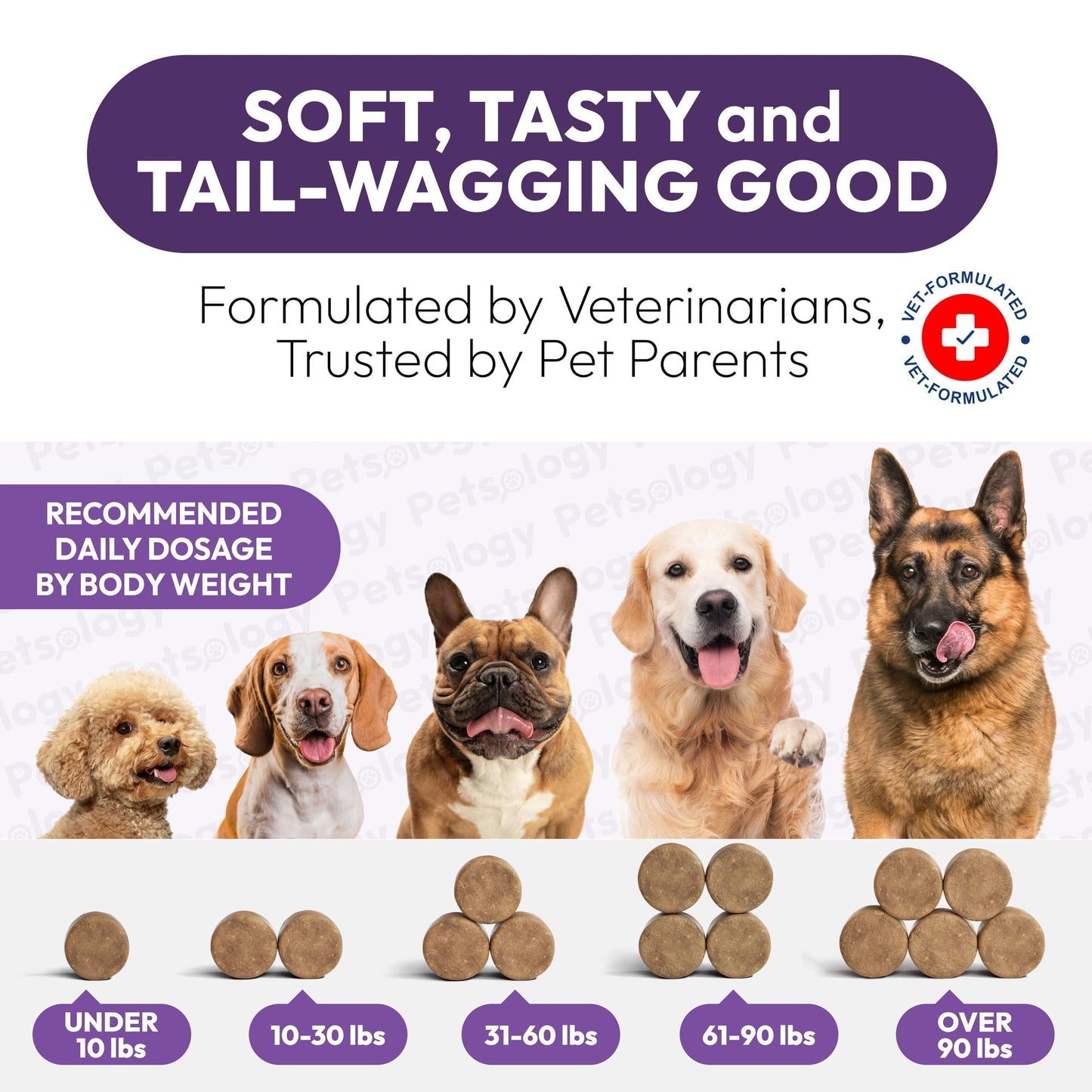 PETSOLOGY Dog Multivitamin and Hip & Joint Support with Glucosamine 170 Chews For Pet With Love