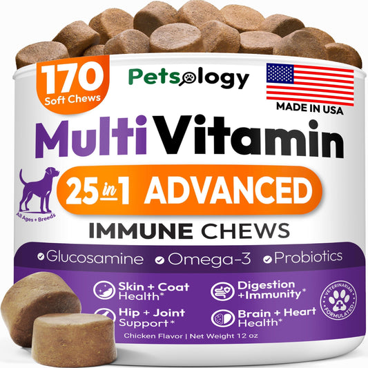 PETSOLOGY Dog Multivitamin and Hip & Joint Support with Glucosamine 170 Chews For Pet With Love