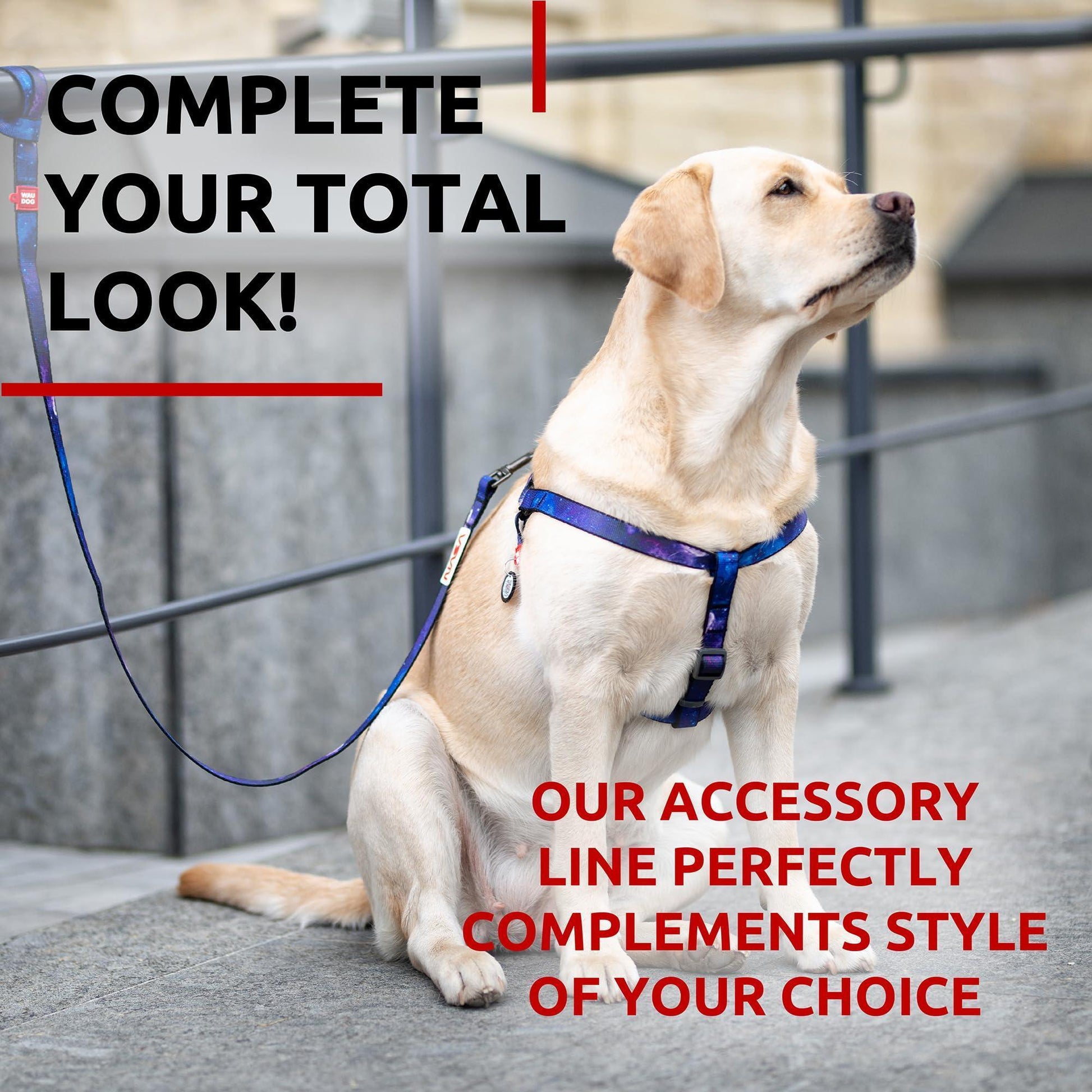 WAUDOG Nylon Dog Leash for Small Dogs and Medium Dogs 4 Ft   Strong Dog Leash For Pet With Love