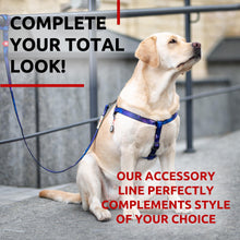 Load image into Gallery viewer, WAUDOG Nylon Dog Leash for Small Dogs and Medium Dogs 4 Ft   Strong Dog Leash
