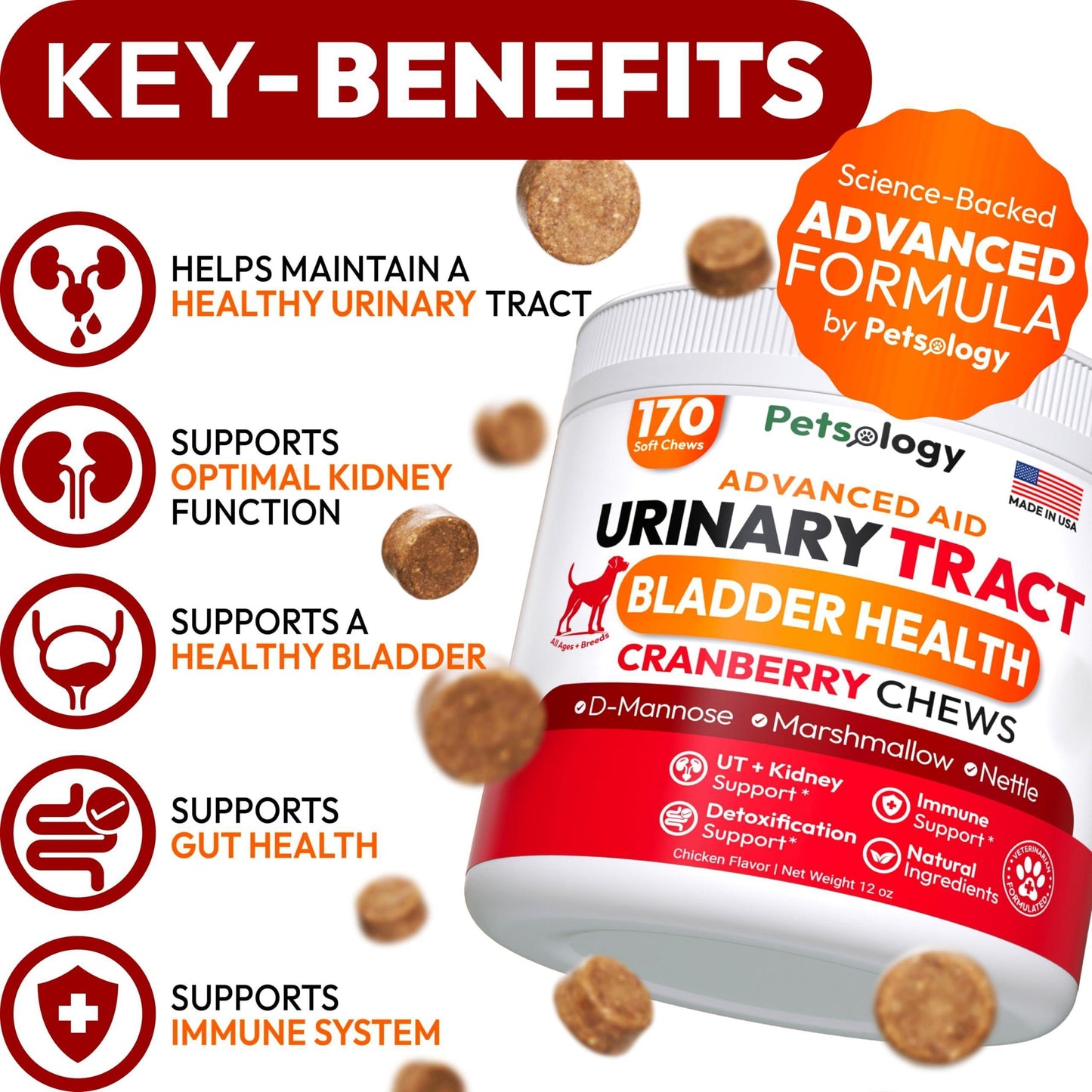 PETSOLOGY Advanced UTI Treatment Cranberry Multivitamin Supplement for Dogs. 170 Chews For Pet With Love