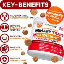 Load image into Gallery viewer, PETSOLOGY Advanced UTI Treatment Cranberry Multivitamin Supplement for Dogs. 170 Chews
