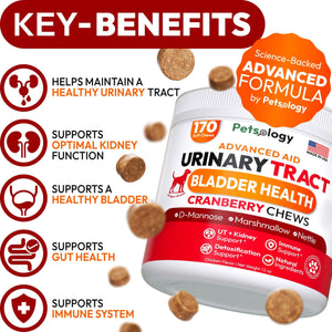 PETSOLOGY Advanced UTI Treatment Cranberry Multivitamin Supplement for Dogs. 170 Chews