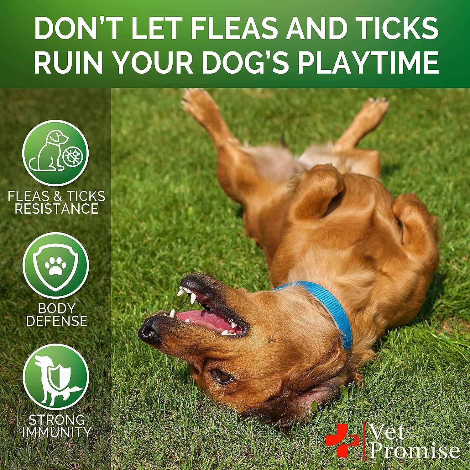 Vet Promise Natural Flea and Tick Prevention Treatment for Dogs (2 Pack) 240 Chews. For Pet With Love