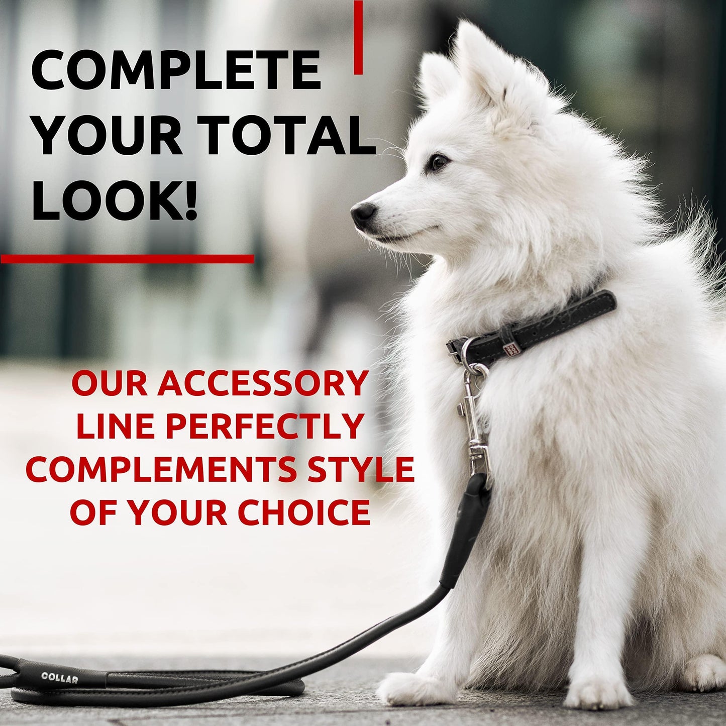 Rolled Leather Dog Leash 4Ft * 0.3 in for Small Medium and Large Dogs   Heavy For Pet With Love