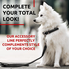 Load image into Gallery viewer, Rolled Leather Dog Leash 4Ft * 0.3 in for Small Medium and Large Dogs   Heavy
