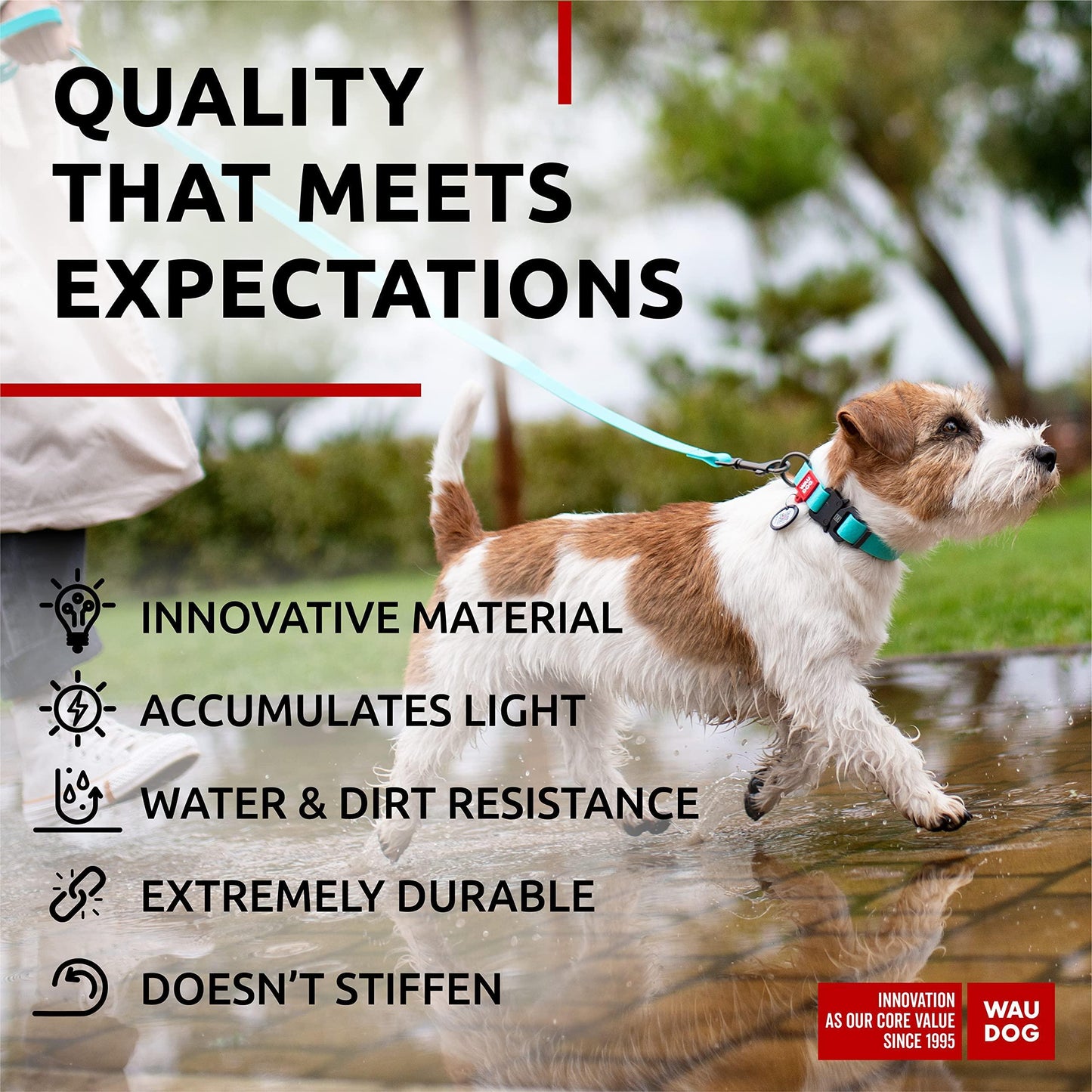 WAUDOG Adjustable Waterproof Glow in The Dark Dog Collar with Durable Metal Clasp and QR Dog Tag AQUA SMALL For Pet With Love