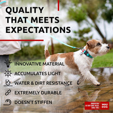 Load image into Gallery viewer, WAUDOG Adjustable Waterproof Glow in The Dark Dog Collar with Durable Metal Clasp and QR Dog Tag AQUA SMALL
