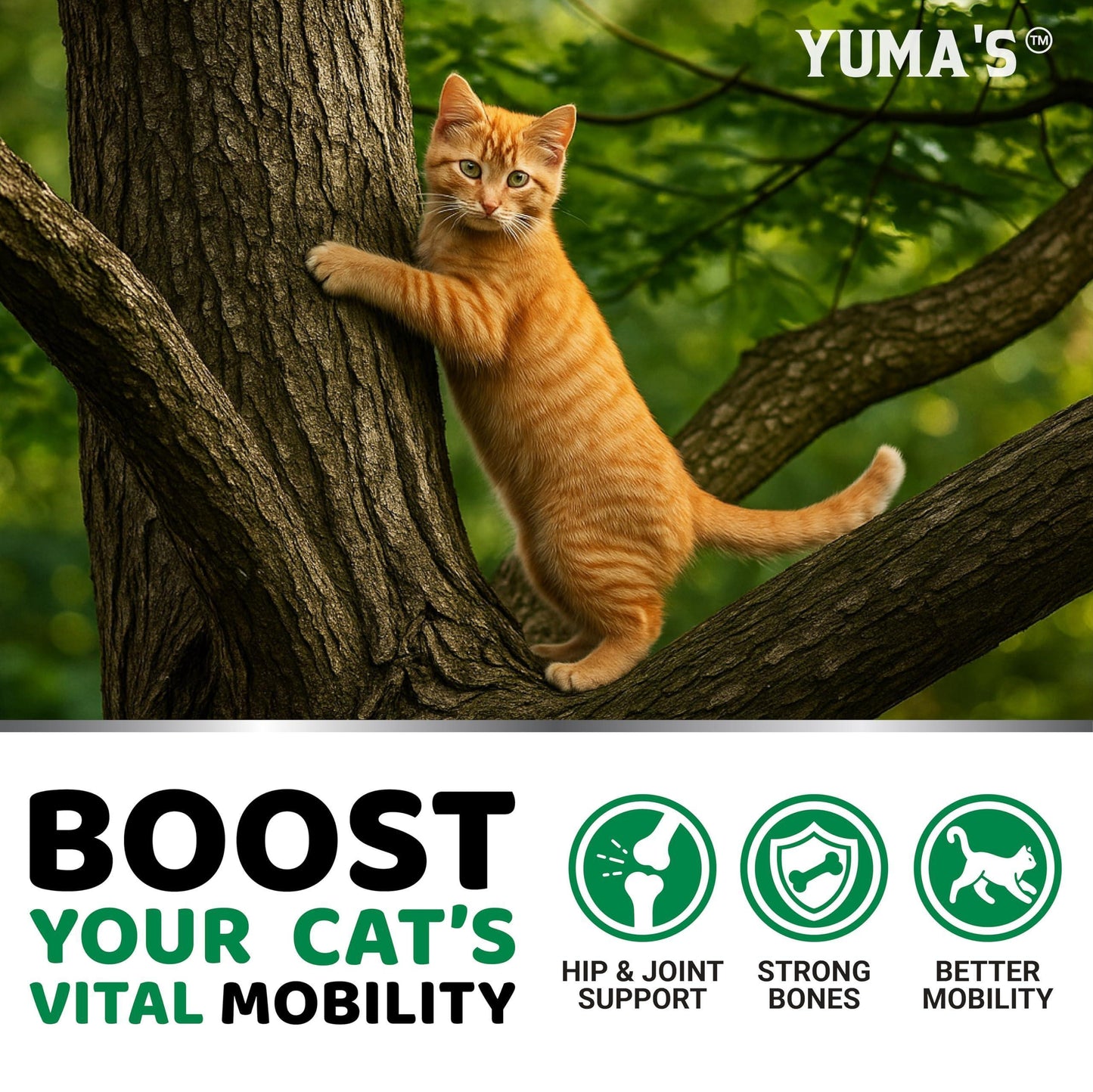 YUMA'S Hip and Joint Supplement for Cats with Glucosamine, MSM, Chondroitin & Omega-3 Salmon Oil. 120 Chews. Chicken Flavor.