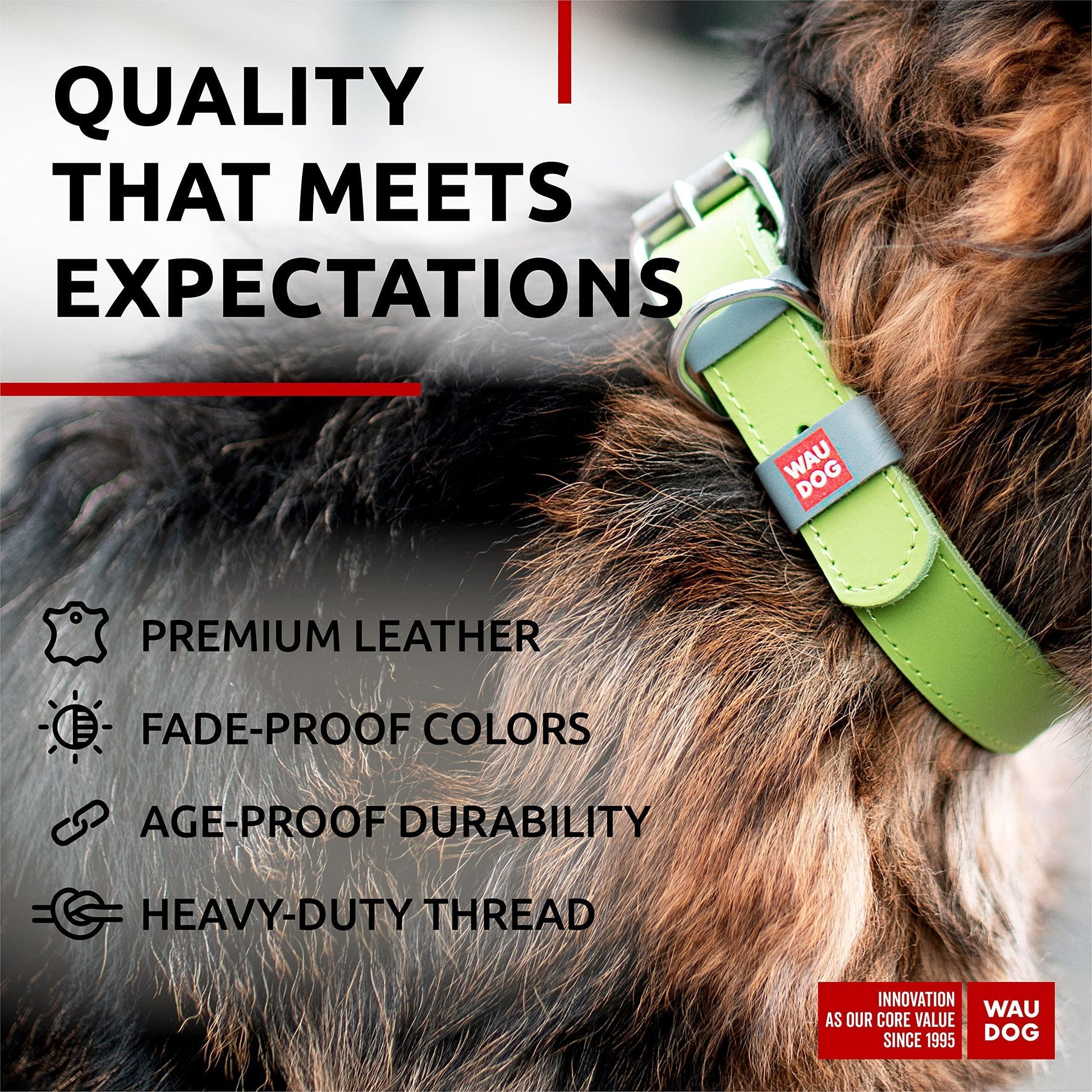 WAUDOG Long Lasting Leather Dog Collar with Durable Buckle D Ring & QR Dog Tag GREEN LARGE For Pet With Love