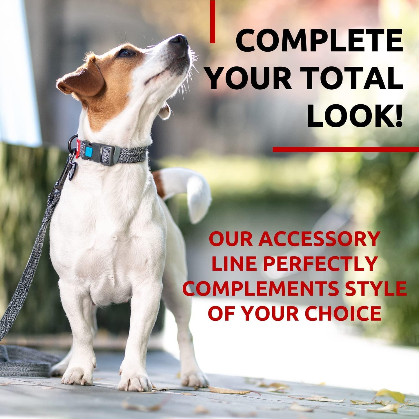 Recycled Cotton Dog Leash 6 Ft   10 Ft Eco Friendly Collar for Small Medium & For Pet With Love