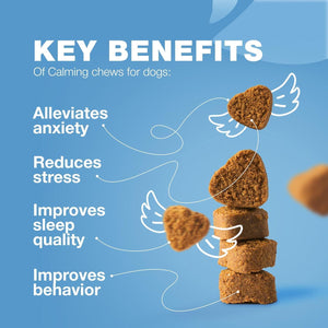 CHEWIA Hemp Calming Anxiety Relief Chews for Dogs Beef Flavor. Travel Pack 5 Oz