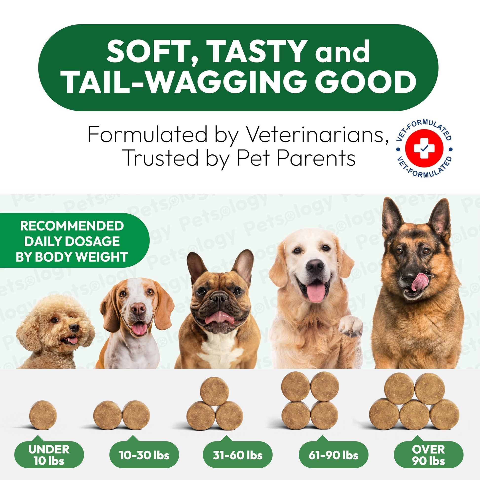 PETSOLOGY Natural  Flea and Tick Prevention Treatment for Dogs Vet Formulated Oral Defense Supplement for All Breeds & Ages 170 Soft Chews Made in USA For Pet With Love