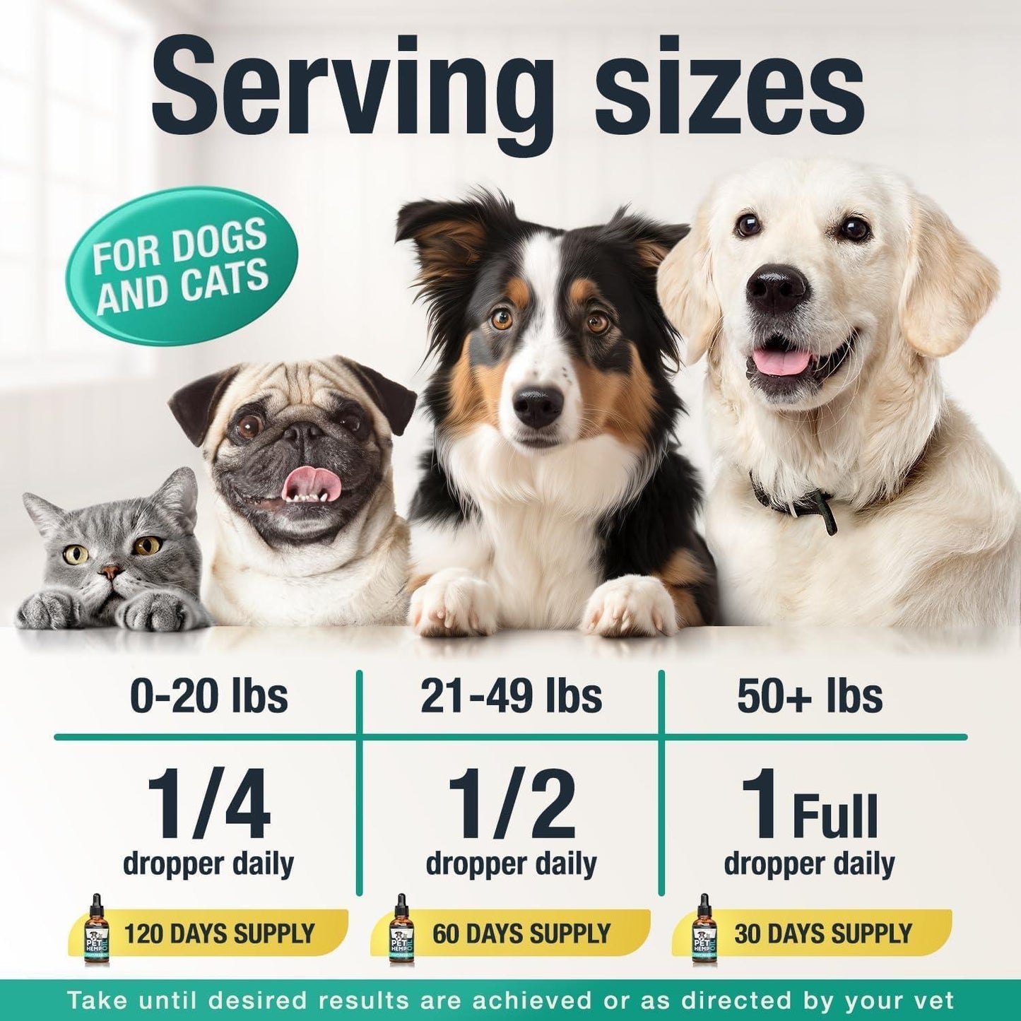 Charlie & Buddy Pet Hemp Oil Supplement for Dogs and Cats. Helps with Anxiety, Pain, Stress, Sleep, Arthritis, Seizures Relief. Joint Health Support - 2Pack For Pet With Love