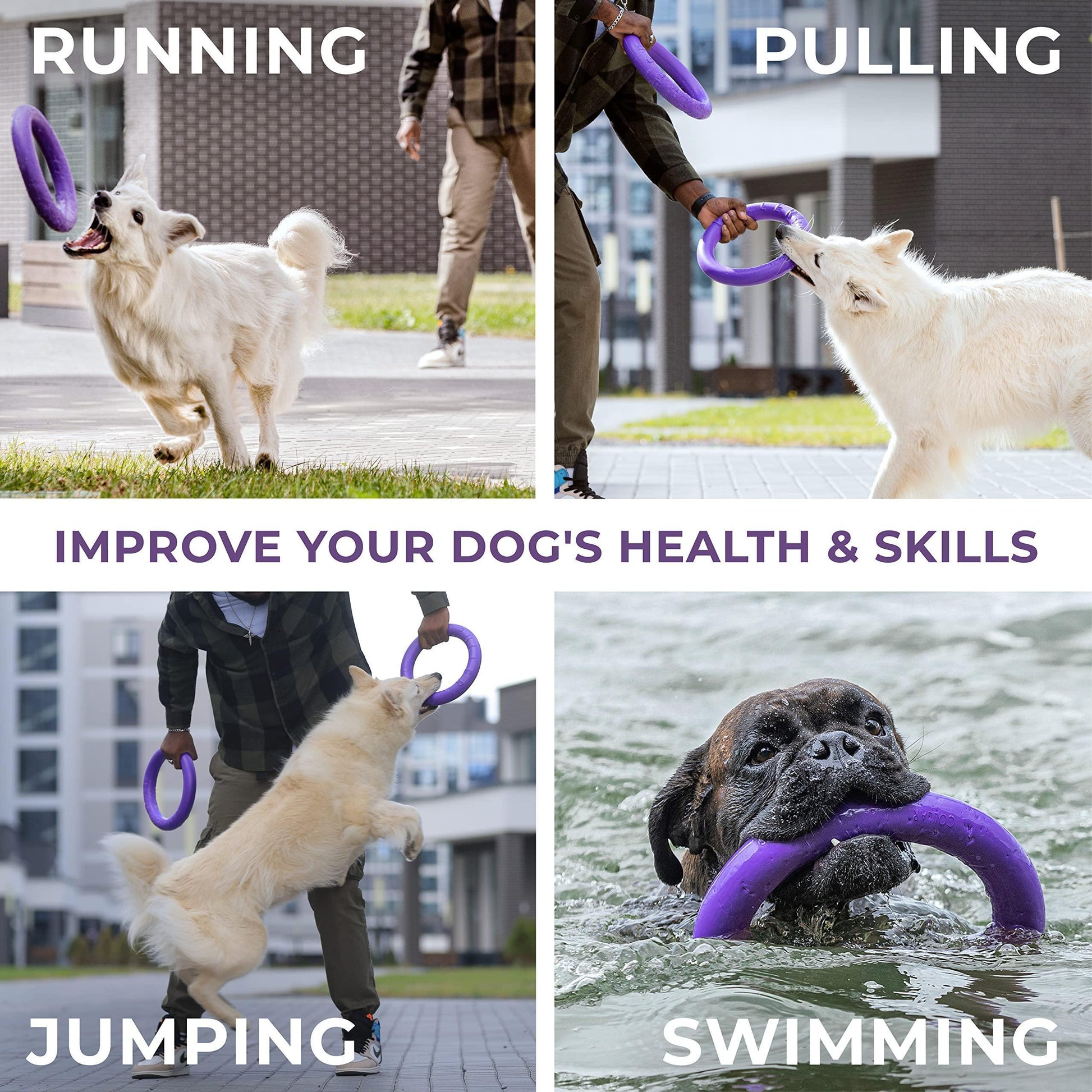 Puller Outdoor Dog Ring Toys   Dog Fetch Toy & Tug of War Dog Toy for Small For Pet With Love