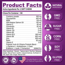 Load image into Gallery viewer, Vet Promise 15IN1 Multivitamin Supplement Complex for Dogs with Glucosamine. Joint Support, Immunity, Mobility, Energy, Gut, Skin Health Support. (120 Chews. Chicken Flavor) For Pet With Love
