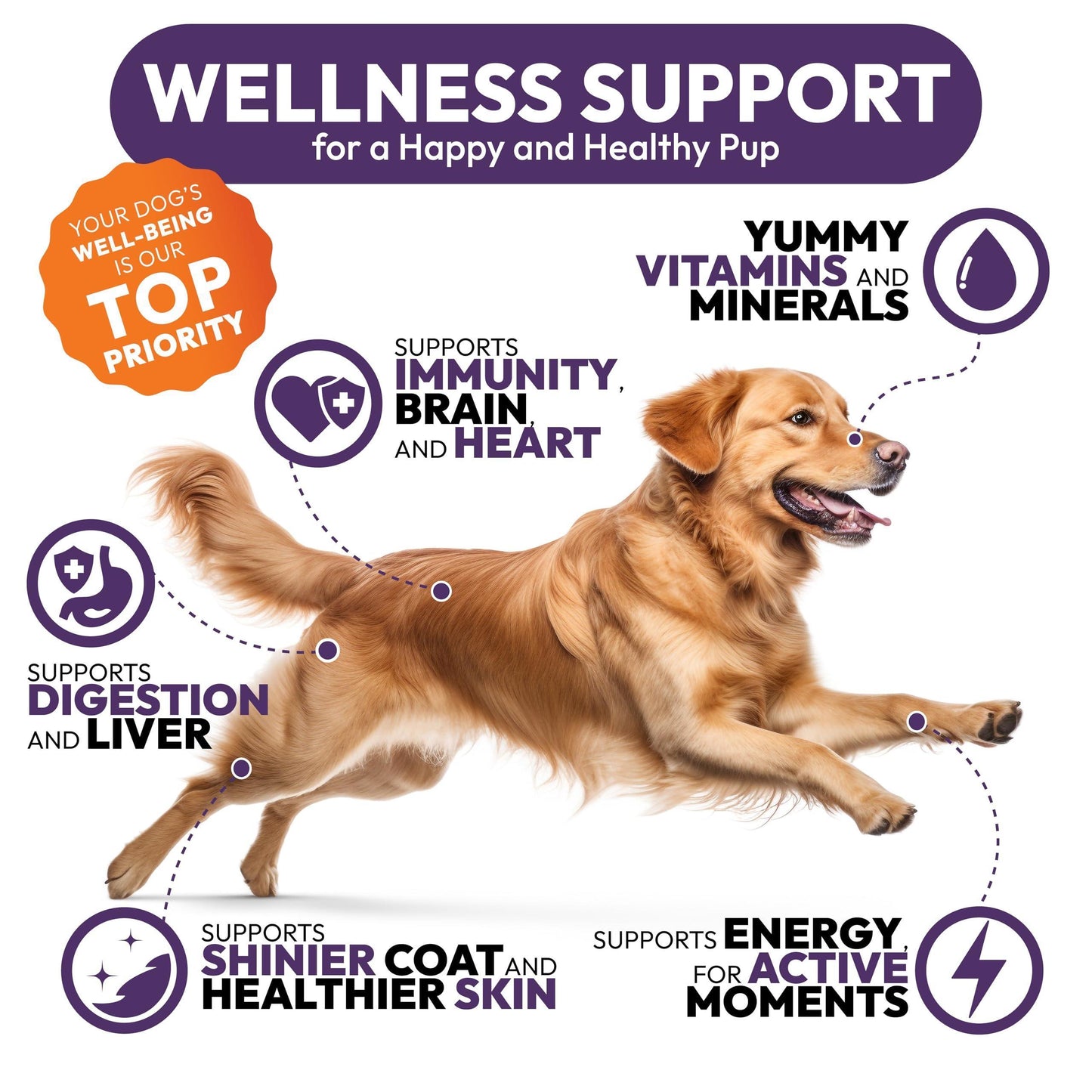 PETSOLOGY Chewable Multivitamin Pet Supplement. Hip & Joint, Pet Immune Support, Skin & Coat, Gut & Heart Health. 250 Chews