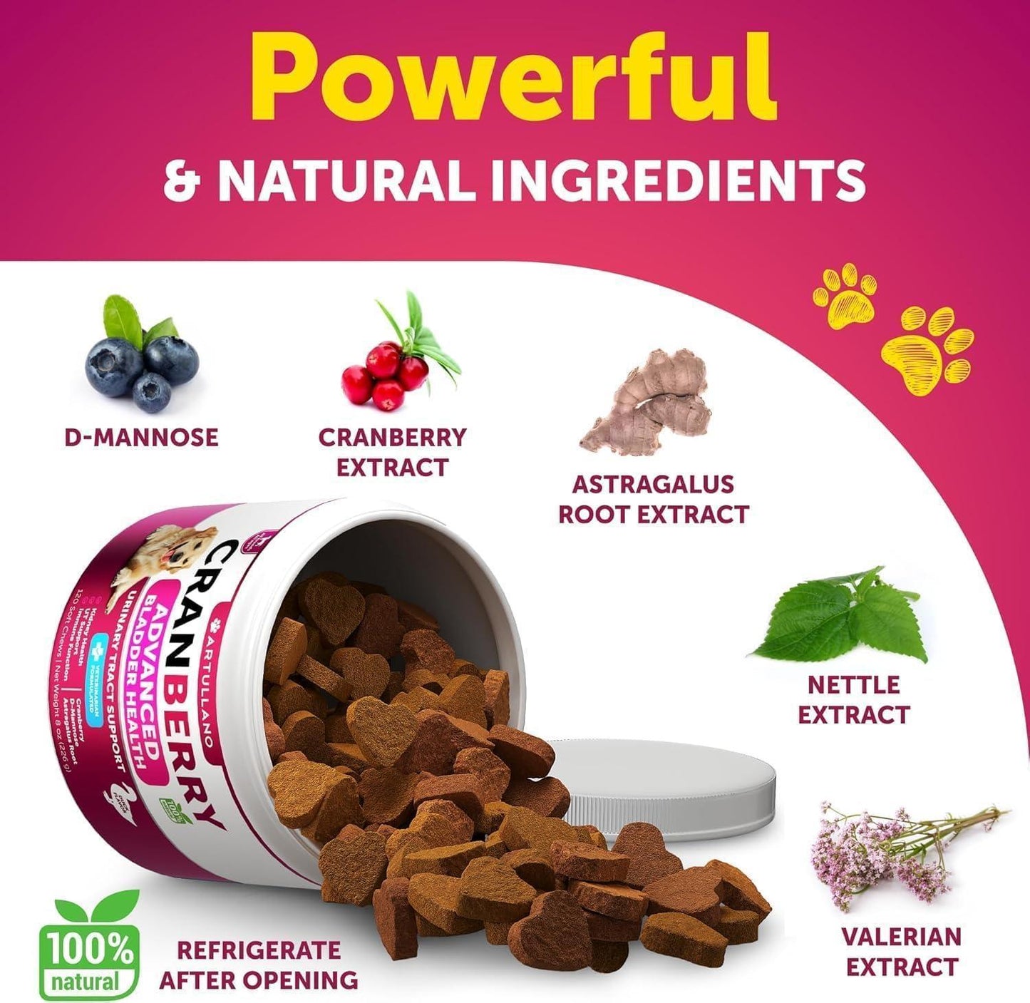 Artullano Advanced Bladder Health UTI Cranberry Treatment and Bladder Control Supplement for Dogs. Provides Kidney Support. Bladder Stones, Urinary Tract Infection, Incontinence Treatment (2 Pack) 240 Chews For Pet With Love