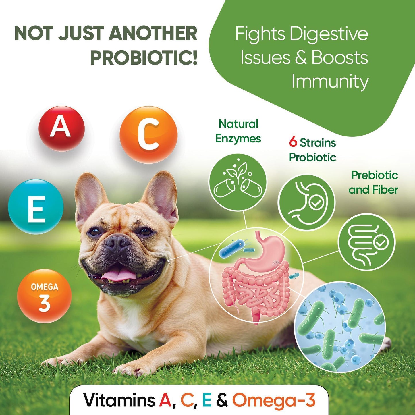 PAWIOUS Probiotics & Enzymes Digestive Health Immune Support for Dogs 120 Chews For Pet With Love
