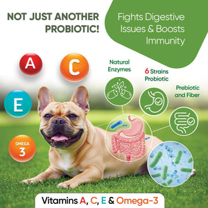 Probiotics Treats for Dogs - Digestive Enzymes - Gut Flora Digestive Health Immune Support