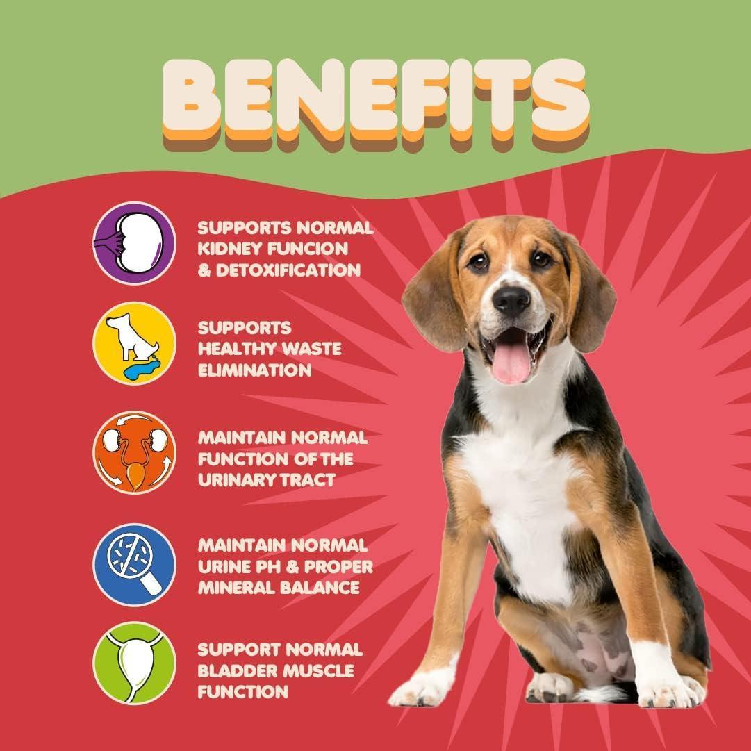 Makondo Pets Cranberry UTI Treatment & Kidney Support for Dogs 5.3 Oz For Pet With Love