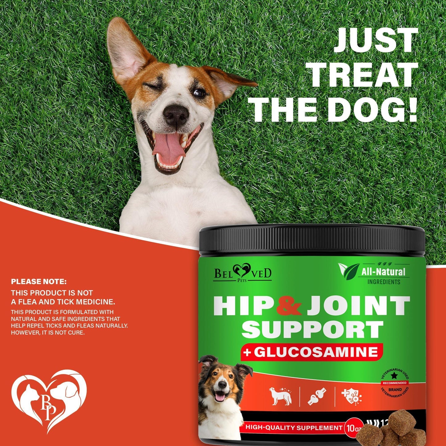 Beloved Pets Hip and Joint Supplement & Arthritis Pain Relief for Dogs 120 Chews For Pet With Love