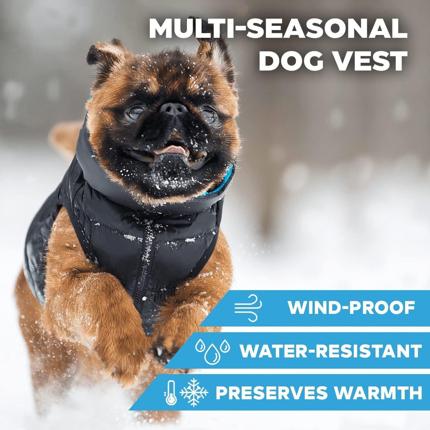 AiryVest Lightweight Reversible Winter Dog Jacket - Water Resistant & Windproof - M - Black/Blue For Pet With Love