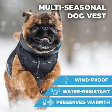 Load image into Gallery viewer, AiryVest Lightweight Reversible Winter Dog Jacket - Water Resistant &amp; Windproof - M - Black/Blue

